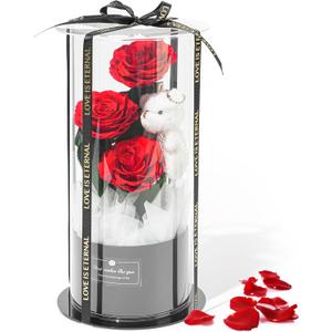Flowers Forever Roses in A Box, 3 Real Roses with Stems and Bear, Eternal Rose Gifts for Her,Birthday Gifts for Women, Mom,Girlfriend,Grandma,Daughter,Red