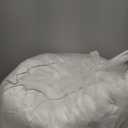 Pacific Coast Pillows Queen Size Set of 2, Goose Feather and Down Pillow for Sleeping, 3-Chamber Hotel Pillow for Side Sleepers and Back Sleepers