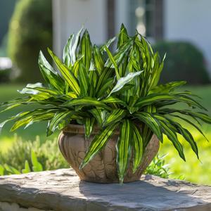 4 Pcs Artificial Greenery Stems Dracaena Faux Branches Artificial Plants Realistic Fake Dracaena Greenery Realistic Plants for Indoor Outdoor Porch Patio Home Office Living Room Decor (Light Green)