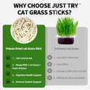 Just Try 6.34OZ Cat Treats, Freeze Dried Cat Grass Teething Stick,Healthy Training Treats Food Topper,Hairball Control Teeth Cleaning Dental Treats for Indoor Cats (EXP 04/13/27)