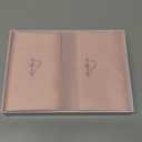 ALASKA BEAR Silk Pillowcase for Hair and Skin, Set of 2 Pure Genuine 22 Momme Mulberry Silk Pillow Cases Standard Size for Bliss Sleep Better Than Poly Satin, Zipper Closure(2pc, Pink)