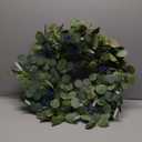 Eucalyptus Wreath for Front Door, COLORSPEC 24 Inch Eucalyptus Wreath with Olive Leaves and Berries All Year Round, Handmade Green Spring Summer Wreaths for Front Door Indoor Outdoor Wedding Holiday