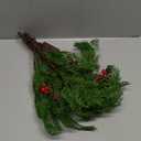 Birchlitland Lighted Brown Branches Cedar 32IN 60 LED with Timer Battery Operated Winter Home Decoration Lights (Green)