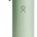 Hydro Flask Water Bottle - Insulated Stainless Steel - Wide Mouth Flex Straw Lid, Non Spill, Leakproof and Refillable in 24 Oz Aloe Green