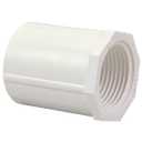 NIBCO C435-007 3/4 FE ADAPTER, White, 1 Count (Pack of 1) (0.75 Inch)