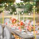 Over The Table Rod Stand with Clamps Adjustable 31"110'' Length 31"64" Height Gold Table Balloon Arch Stand with Storage Bag, Metal Decorating Rod Hanging