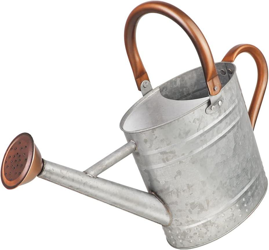1 Gallon Metal Watering Can with Removable Spout, Nice Galvanized Steel Water Can with Embossed Design for Indoor and Outdoor Plants (Silver)