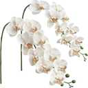 Floroom 2pcs Faux Phalaenopsis Orchid Fake Artificial Flower with Stems, Real Touch Large Blooms 40 Inch for DIY Bouquets, Wedding Centerpieces & Home Decor, Warm Beige