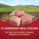 Purina ONE Chicken and Rice Formula Dry Dog Food - 8 lb. Bag (8 Pound (Pack of 1))