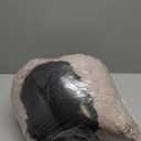 Hoewina Dog & Cat Bed, 20in Cat Beds for Indoor Cats, Calming Donut Bed for Puppy and Kitten, Washable Round Fluffy Pet Bed for Small Medium Dogs and Cats (Light Brown)