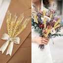 200 Pcs Dried Wheat Stalks, Dried Flowers Natural Wheat for Home Kitchen Office Flowers Arrangement Wedding Table Christmas Farmhouse Boho Party Fall Dcor
