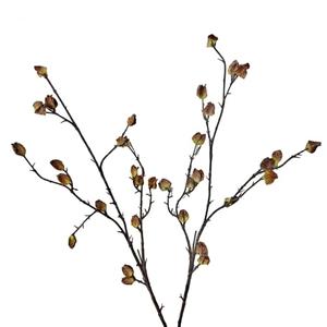 Anyumir 2Pcs Faux Berry Stems for Tall Vases, 35.4 Inch Bendable Brown Branches with Frosted Effect - Faux Branches Artificial Chinese Lantern Stems for Farmhouse Home Office Decor