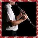 Eastar B Flat Clarinet for Beginner, Ebonite Clarinet Nickel-plated with 2 Barrels, 3 Reeds, White Gloves, Hard Case, Cleaning Kt, ECL-300