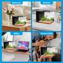 AQUANEAT Fish Tank, 1 Gallon Betta Fish Tank, Small Aquarium Kit with LED Light and Water Filter Pump