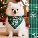 2 x Christmas Dog Bandanas Pets Funny Holiday Costume Gift Xmas Stocking Stuffers - Naughty Nice I Tried, Green Plaid, Medium & Large Breed, 25-75lbs
