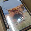 Black 12x18 Frame Wood Vintage 12 x 18 Frames Gold | Real Glass, Easy Photo Changes, Wall Hanging, Ornate Wall Art