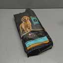 Purina Pro Plan High Protein Dry Puppy Food, Chicken and Rice Formula - 6 lb. Bag (EXP 04/01/26)