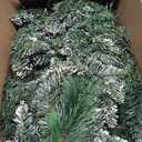 Jin&Bao 9FT Christmas Garland with Lights, 100 LED Prelit Green Pinecone Garland Christmas Decorations with Timer Function, 3AA Battery Operated Xmas Garland Mantle Stairs Door Outdoor