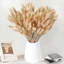 180 PCS Bunny Tails Dried Pampas Grass Decor, 17'' Brown Pampas Grass, Natural Rabbit Tail Dried Flowers, Dried Pampas Grass Brown Florals for Boho Wedding, Baby Birthday Party, Christmas, Halloween