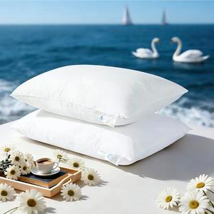 LIANLAM Goose Feather Down Pillows King Size Set of 2, 3-Chamber 5 Star Hotel Pillow for Deep Sleep, Soft Bed Pillows for Neck Pain Relief, Perfect for Side Sleeper, 100% Cotton Shell(2 Pack,20"x36")