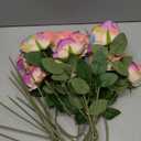 Hotop 20 Pcs Artificial Rose Flowers with Long Stem,Real Touch Silk Realistic Plastic Bouquet Roses Bulk for Home Decor Bridal Wedding Party Table Centerpieces Decorations(Rainbow)