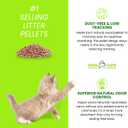 Cool Cats Kitty Litter by MacLean's, 10 lb. Bags