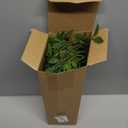 Suncalla 3 Pcs Artificial Greenery Stems 40 Inches Tall Faux Nandina Branches Fake Greenery Plants Bamboo Leaves Stems for Vase Wedding Living Room Bedroom Home Office Shop Kitchen Garden Decor