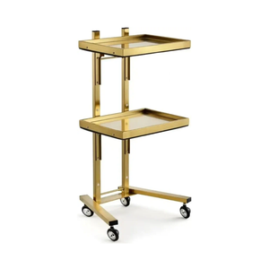 2-Tier Metal Rolling Cart – 34-Inch Folding Stainless Steel Salon Tray on Wheels, Utility Storage Trolley for Estheticians, Salon Studios and Shops, Dental Tools, Gold