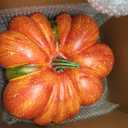 Liliful 2 Pcs 12 Inch Fall Large Artificial Pumpkin Crafts, Orange