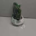 Artificial Peperomia Plant 16.5 Tall Lifelike Faux Greenery in 6 White Ribbed Ceramic Pot Realistic Indoor Fake Branches for Home Office Desk Shelf Bathroom Bedroom Farmhouse Decor