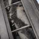 Tikom Robot Vacuum and Mop, 6000Pa Robotic Vacuum Cleaner with Self-Emptying Base, 90 Days Capacity, LiDAR Navigation, Home Mapping, Ideal for Pet Hair, Hard Floors, Carpet (L8000 Plus)