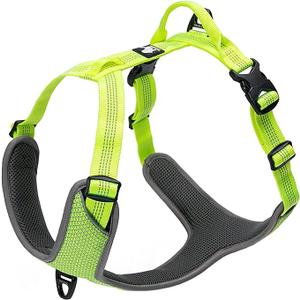 TRUE LOVE Dog Harness Outdoor Adventure II Reflective Vest with 2 Leash Attachments Matching Leash and Collar TLH6071 (XS)