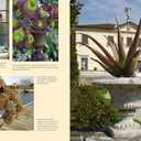 Succulent Container Gardens: Design Eye-Catching Displays with 350 Easy-Care Plants