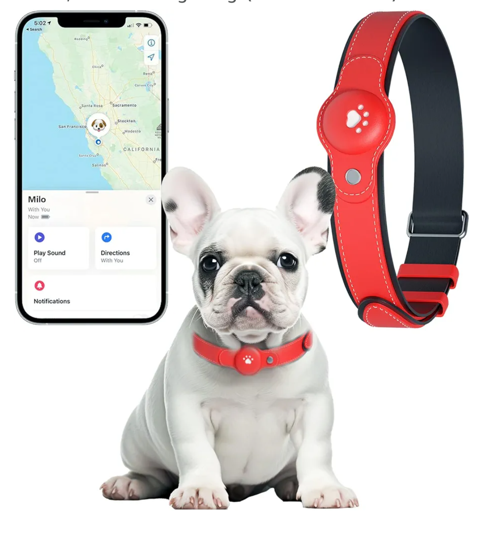 2-in-1 GPS Tracker for Dogs&Cats: Smart Collar with Real-Time Location, No Monthly Fee, Unlimited Range (iOS Only) GPS Tracker Dog Collar- Ideal for Small, Medium Large Dogs(Tracker Included)