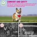 2 x Dog Tie Out Cable - Heavy Duty Dog Chain for Yard, Blue/Purple/Green/Pink Outdoor Tether & Leash, 10/15/20/30Ft,Lead for Dogs Outside