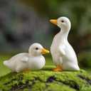 AKV Ceramic Duck Statue Cute Mini Duck Figurines for Home Office Desktop Decor, Handmade Small Duck Decorations, Ceramic Animal Figurines for Garden Porch Decor, Duck Gifts for Duck Lover (Set of 2)