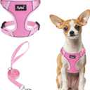 PUPTECK Dog Harness and Leash Set, No Pull Adjustable Pet Small Dog Harness, Reflective Soft Mesh Pet Vest, for Small Medium Dogs Walking, Pink, XS