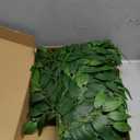 32Pcs Italian Ruscus Greenery Stems, 23'' Artificial Silk Green Leaves, Faux Plants, Fake Branches for DIY Wedding Flower Bouquet Vase Filler Balloon Arch Table Centerpiece Home Indoor Outdoor Decor