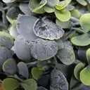 DearHouse Faux Eucalyptus Garland Plant, 2 Pack Artificial Vines Hanging Eucalyptus Leaves Greenery Garland for Wedding Backdrop Arch Wall Decor, 6 Feet/pcs UV Protected Indoor Outdoor