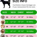 IVY&LANE No Pull Dog Harness for Small Dogs, Dog Vest Harness with Leash, Safety Belt and Storage Strap, Fully Adjustable Harness, 360 Reflective Strip, Soft Handle (Green,S)