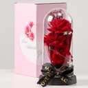 2 x 3 Blossoms Artificial Roses in Clear Dome with LED Lights Mother's Day Decorations - Preserved Flowers Fake Roses for Wedding Candlelight Dinner Anniversary