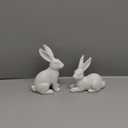 DN DECONATION White Frosted Resin Bunny Figurines Set of 2, Rabbit Statues Indoor Easter Decorations for Spring Home Decor, Decorative Easter Bunny Ornaments for Table Centerpiece Living Room Decor