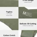 LEVAO Seamless Underwear for Women No Show Cheeky Bikini Panties Stretch V Cut Panty S-XL (Regular & Plus Size) (Medium)