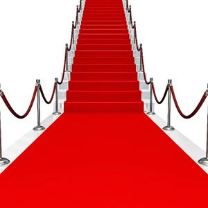Red Carpet Runner for Party 100 GSM Felt Non-Woven Fabric Runway Carpet for Event, Aisle Runner for Wedding Ceremony Hollywood, Movie Theme Rug Party Decor (Red, 2 X 30 Ft)