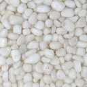 Midwest Hearth Decorative Polished White Pebbles 3/8" Gravel Size (2-lb Bag)