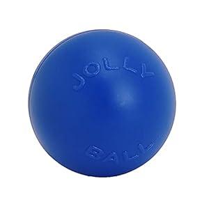 Jolly Pets Push-n-Play Ball Dog Toy, 10 Inches/Large, Blue