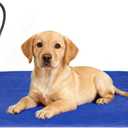 RIOGOO Pet Heating Pad, Electric Heating Pad for Dogs and Cats with Timer, 6 Level Adjustable Temperature Dog Heated Blanket (Blue, M:25''x12.5)