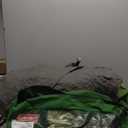 Coleman Sundome Camping Tent with Rainfly, 2/3/4/6 Person Tent Sets Up in 10 Mins, Weatherproof Shelter for Camping, Festivals, Backyard, Sleepovers, & More (PFAS-Free, Spruce Green)