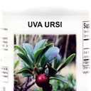 Supreme Nutrition Uva Ursi, 60 Pure Bearberry Vegetarian Capsules (bbd: 05/2028)