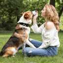 Dog Chain for Yard, 4MM 25FT Leads for Yard Heavy Duty Stainless Steel Dog Tie Out Cable Chew Proof Chain Leashes with Swivel Hook for Camping Outside